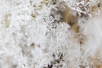 Small snowflakes on nature as background