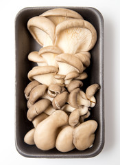 Fresh oyster mushrooms on a white background