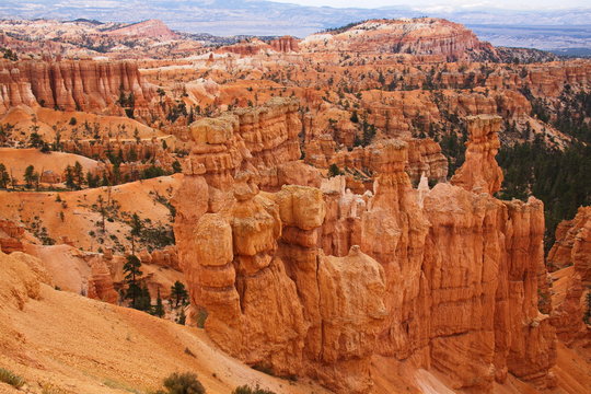 View from Navajo Trail in Bryce Canyon in Utah in the USA
