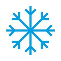 Snowflake vector icon