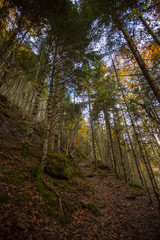 Obraz premium Otoño en los Pirineos