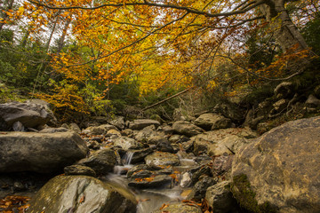 Oto&ntilde;o en los Pirineos