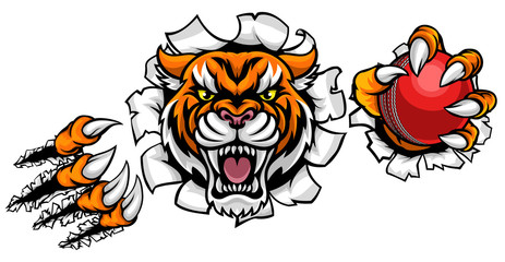 Tiger Holding Cricket Ball Breaking Background