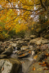 Otoño en los Pirineos