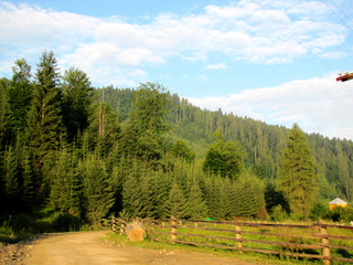 Fototapeta na wymiar mountains in the Carpathians
