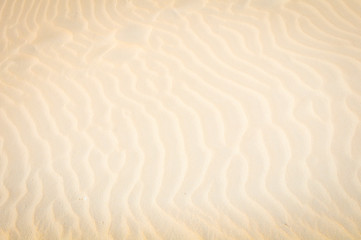 Abstract background with dunes