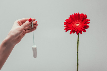cropped shot of woman holding tampon in hand isolated on grey