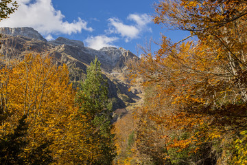 Fototapeta premium Otoño en los Pirineos