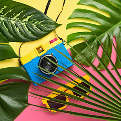 Tropical Palm Green Leaves Background. Colorful Hot Summer Vibes. Fashion concept. Trendy fashion Retro Design camera. Minimal