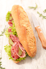 sandwich with salami and salad
