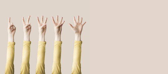 Raised up hands and fingers showing numerical