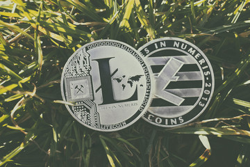Close up photo of two shiny  silver litecoins laying in grass in nature. Isolated litecoins (ltc)  with sunrays on green background in the park. Macro photo of new modern decentralized cryptocurrency.