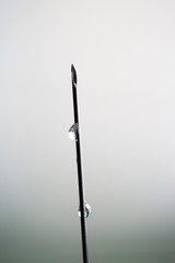 Medical needle for syringe close up