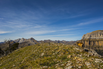 Otoño en los Pirineos