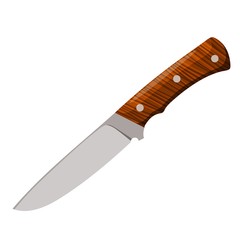 Color image of a combat knife on a white background. Vector illustration of a cutting tool and a blank weapon cartoon style