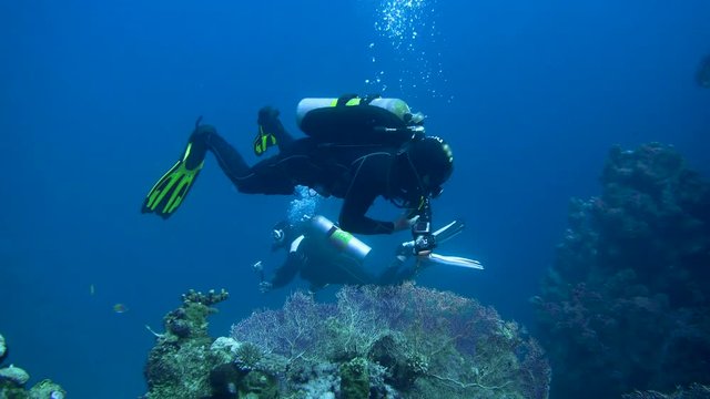 Diver with aqualung and camera swimming underwater near the coral reef. 4K