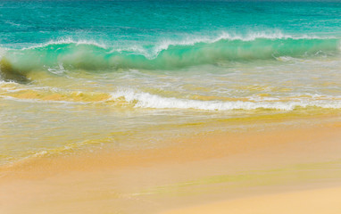 Waves of a tropical sea