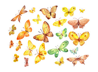 Many butterflies on white background. Watercolor illustration