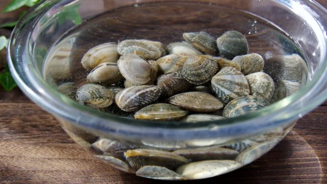 アサリ貝の砂出し