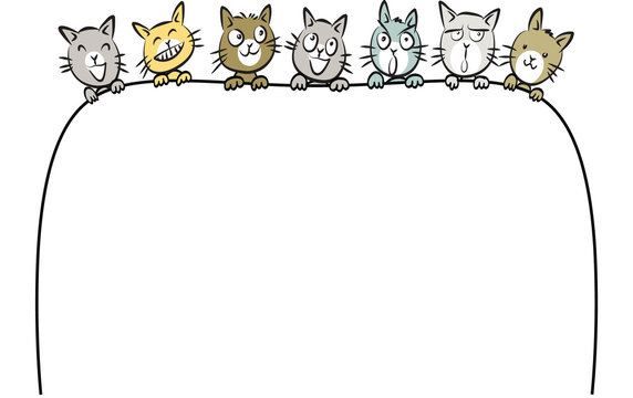 Cat Border