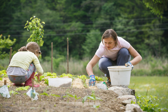 Mother and daughter working in the vegetable garden