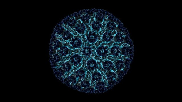 Human cytomegalovirus
3D rendering of a virus