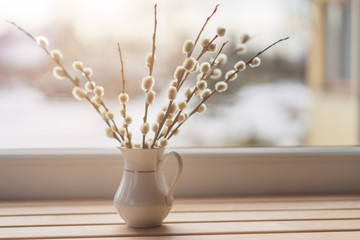 Willow catkins in vase on the window, toned