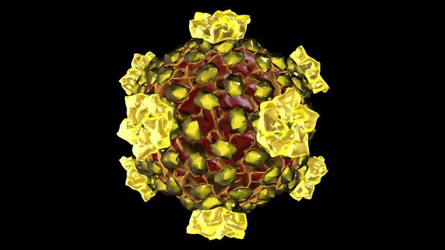 REOVIRUS CORE
3D rendering of a virus