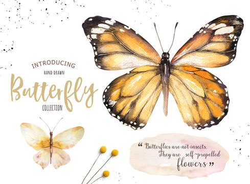 Set of watercolor boho butterfly. Vintage summer isolated spring art. Watercolour illustration. design wedding card, insect, flower beauty banner. Bohemian decoration.
