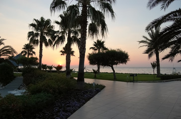 Sunrise, beach, palm trees on the Turkish coast.