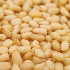 Surface coated with pine nuts