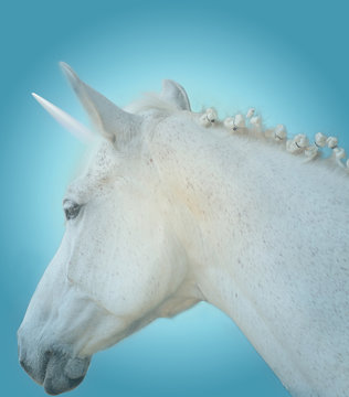 Primo piano di un bianco cavallo con un candido unicorno  su uno sfondo celeste 