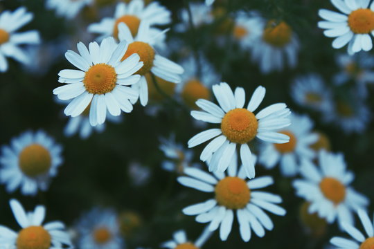 Processed with VSCO with p5 preset