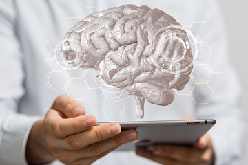 brain
