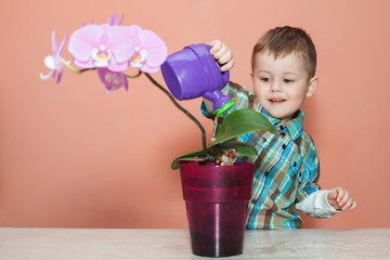 Cute boy watered orchid. Gardener taking care of plants