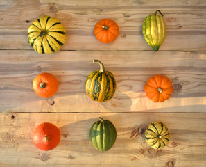 Various pumpkins and squashe