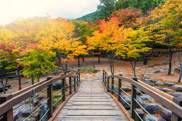 Fototapeta na wymiar Biseulsan National Park The best of landscape Mountain autumn in South Korea.