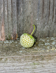 White strawberry fruit, vintage wood background, close up.