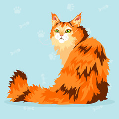 beautiful Maine Coon with orange, red and brown fur and green eyes sitting. Vector illustration.
