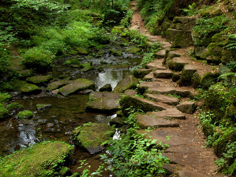 Monbachtal