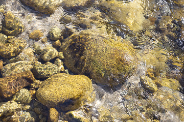 fresh water stream in mountain brook, close up