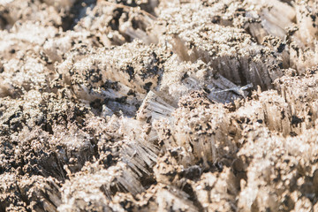 Frozen grass, covered with hoarfrost, Tongariro National Park, New Zealand