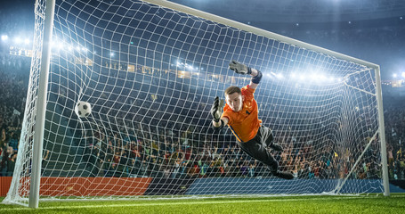 Soccer goalkeeper in action on the stadium