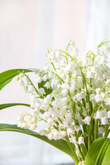 Lily of the valley flowers. Natural background with blooming lilies of the valley lilies-of-the-valley
