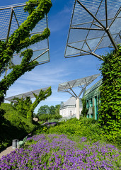 Ogród przy Bibliotece Uniwersyteckiej w Warszawie © Dejan Gospodarek