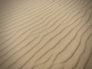 Fototapeta na wymiar dune du pyla