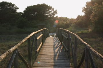 Obraz premium Wooden pedestrian bridge pathway at sunset with beautiful golden light With flare. Porto Caleri, Veneto, Italy.
