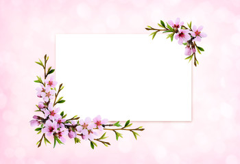 Spring twigs of peach flowers and early leaves in corner arrangements with white card for text
