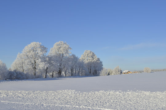  Oberlausitzer Bergland bei Weifa im Winter 