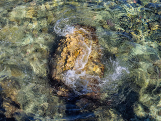 Coral reef seen from top in Sharm el-Sheikh Sinai